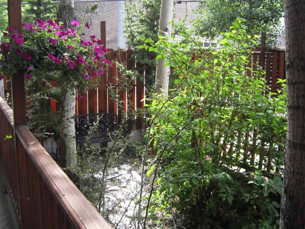 China Clipper (adults Only) Bed & Breakfast Ouray